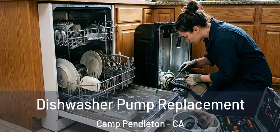 Dishwasher Pump Replacement Camp Pendleton - CA